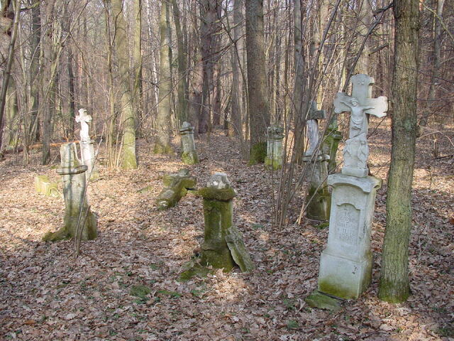 Widok og�lny cmentarza i zachowanych nagrobk�w.