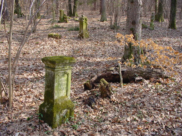 Fragment uszkodzonego lub przewr�conego nagrobka.