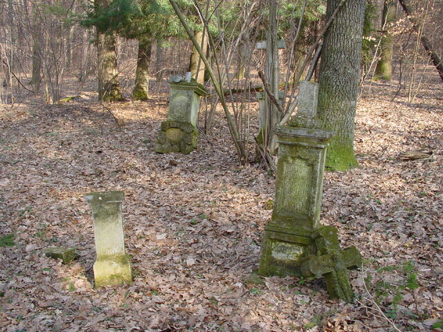 Widok og�lny cmentarza i zachowanych nagrobk�w.