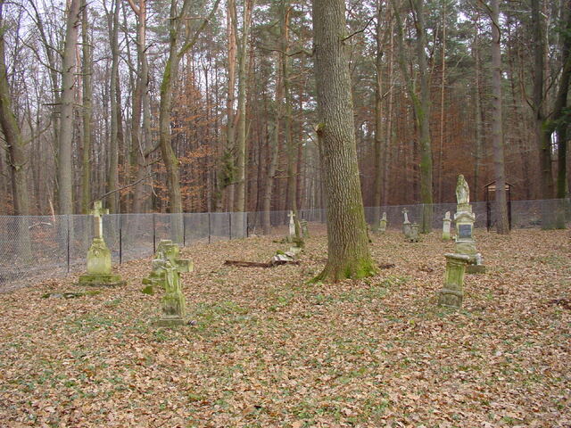 Widok og�lny cmentarza i zachowanych nagrobk�w.
