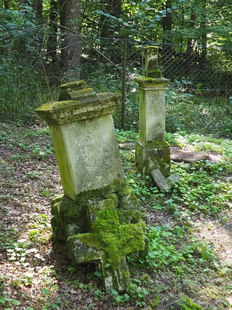 Roczny rachunek społecznej działalności — fotografia 1