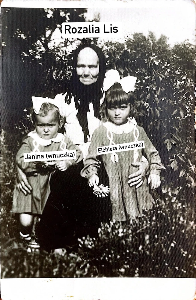 „Stokrotki” Michała Lisa — część II — fotografia 3