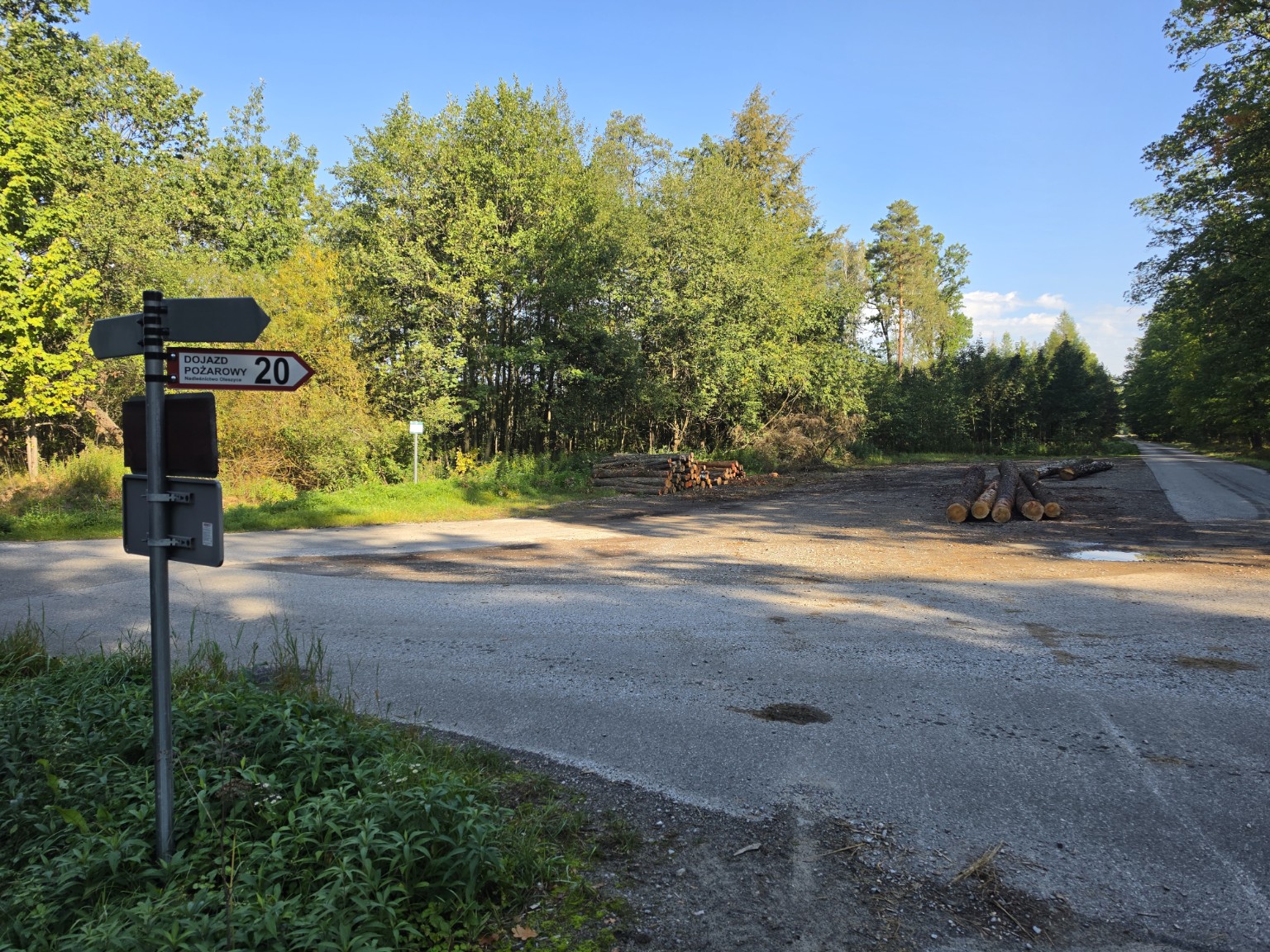 Widok Placu Kozickiego z leśnymi drogami i stosami drewna na skraju lasu